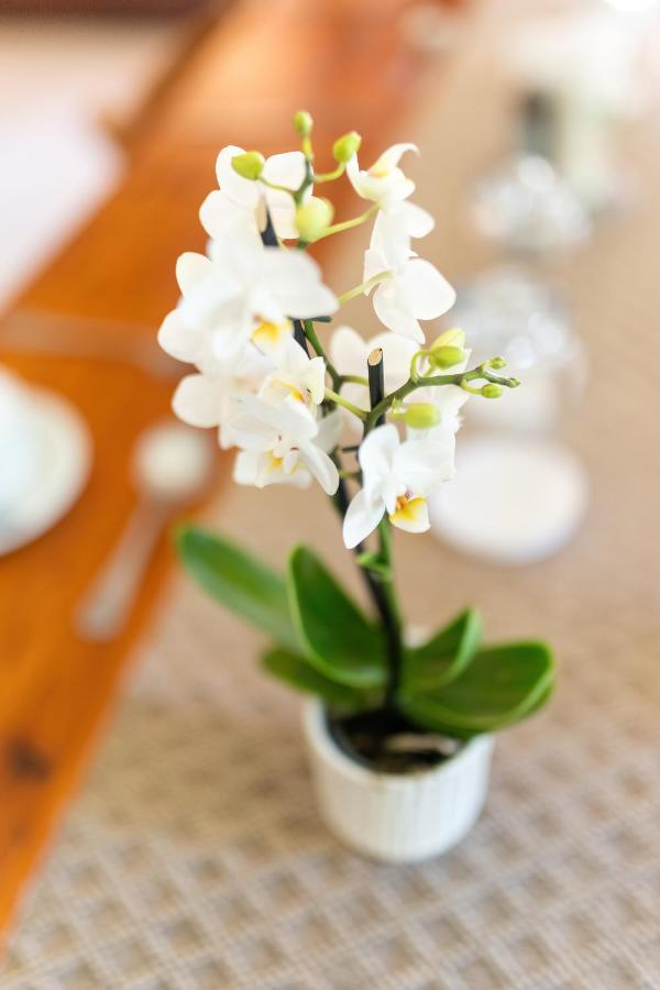 Faraway Lodge Westville ภายนอก รูปภาพ